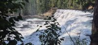 77 Dawson Falls &ndash; &copy; Susanne Schirmann (Eberhardt TRAVEL)