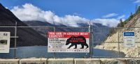 102 Achtung Grizzlies &ndash; &copy; Susanne Schirmann (Eberhardt TRAVEL)