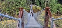 124 Mutig über die Hängebrücke &ndash; &copy; Susanne Schirmann (Eberhardt TRAVEL)