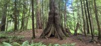 129 Natur pur &ndash; &copy; Susanne Schirmann (Eberhardt TRAVEL)