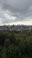  Montreal - Hausberg Mont Royal &ndash; &copy; Jacob Spangenberg (Eberhardt TRAVEL)