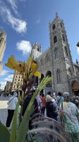 Montreal Stadtrundfahrt Teil 2 - Besuch der Notre-Dame Basilika &ndash; &copy; Jacob Spangenberg (Eberhardt TRAVEL)