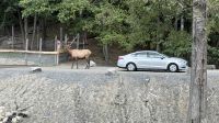 Fahrt durch den Omega Wildpark &ndash; &copy; Jacob Spangenberg (Eberhardt TRAVEL)