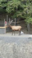 Fahrt durch den Omega Wildpark &ndash; &copy; Jacob Spangenberg (Eberhardt TRAVEL)