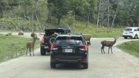 Weiter geht es durch den Omega Wildpark &ndash; &copy; Jacob Spangenberg (Eberhardt TRAVEL)