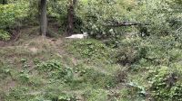 Fahrt durch den Omega Wildpark &ndash; &copy; Jacob Spangenberg (Eberhardt TRAVEL)