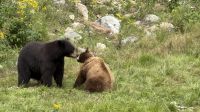 Fahrt durch den Omega Wildpark &ndash; &copy; Jacob Spangenberg (Eberhardt TRAVEL)