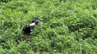 Fahrt durch den Omega Wildpark &ndash; &copy; Jacob Spangenberg (Eberhardt TRAVEL)