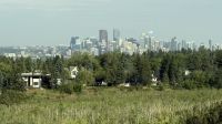 Calgary Stadtrundfahrt &ndash; &copy; Jacob Spangenberg (Eberhardt TRAVEL)