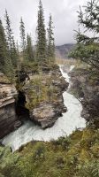 Fotostopp an den Athabasca Wasserfällen  &ndash; &copy; Jacob Spangenberg (Eberhardt TRAVEL)