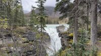 Fotostopp an den Athabasca Wasserfällen  &ndash; &copy; Jacob Spangenberg (Eberhardt TRAVEL)