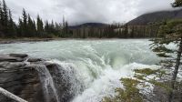 Fotostopp an den Athabasca Wasserfällen  &ndash; &copy; Jacob Spangenberg (Eberhardt TRAVEL)