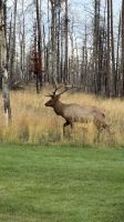 Wildtiere in der Bakers Lodge  &ndash; &copy; Jacob Spangenberg (Eberhardt TRAVEL)