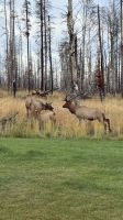 Wildtiere in der Bakers Lodge  &ndash; &copy; Jacob Spangenberg (Eberhardt TRAVEL)