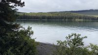 Spaziergang am Maligne Lake  &ndash; &copy; Jacob Spangenberg (Eberhardt TRAVEL)