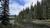 Spaziergang am Maligne Lake  &ndash; &copy; Jacob Spangenberg (Eberhardt TRAVEL)
