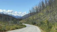 Rückfahrt nach Jasper &ndash; &copy; Jacob Spangenberg (Eberhardt TRAVEL)