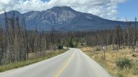 Rückfahrt nach Jasper