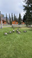 Jasper Backers Lodge &ndash; &copy; Jacob Spangenberg (Eberhardt TRAVEL)