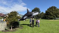 Vancouver Island - Beacon Hill Park in Victoria &ndash; &copy; Jacob Spangenberg (Eberhardt TRAVEL)