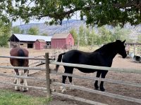 13. Tag: Kamloops bis Whistler – Besuch der Hat Creek Ranch &ndash; &copy; Andreas Wolfsteller (Eberhardt TRAVEL)