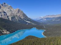 10. Tag: Banff bis Jasper – Icefields Parkway – Fotostopp am Peyto Lake &ndash; &copy; Andreas Wolfsteller (Eberhardt TRAVEL)