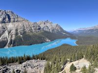10. Tag: Banff bis Jasper – Icefields Parkway – Fotostopp am Peyto Lake &ndash; &copy; Andreas Wolfsteller (Eberhardt TRAVEL)