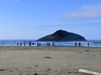 15. Tag: Am Pazifischen Ozean – Aufenthalt am Long Beach &ndash; &copy; Andreas Wolfsteller (Eberhardt TRAVEL)