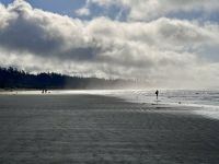 15. Tag: Am Pazifischen Ozean – Aufenthalt am Long Beach &ndash; &copy; Andreas Wolfsteller (Eberhardt TRAVEL)