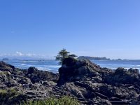 15. Tag: Am Pazifischen Ozean – Spaziergang auf dem Ucluelet Lighthouse Loop &ndash; &copy; Andreas Wolfsteller (Eberhardt TRAVEL)