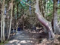 15. Tag: Am Pazifischen Ozean – Spaziergang auf dem Ucluelet Lighthouse Loop &ndash; &copy; Andreas Wolfsteller (Eberhardt TRAVEL)