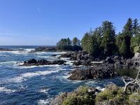 15. Tag: Am Pazifischen Ozean – Spaziergang auf dem Ucluelet Lighthouse Loop &ndash; &copy; Andreas Wolfsteller (Eberhardt TRAVEL)