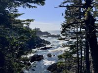 15. Tag: Am Pazifischen Ozean – Spaziergang auf dem Ucluelet Lighthouse Loop &ndash; &copy; Andreas Wolfsteller (Eberhardt TRAVEL)