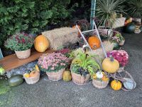 17. Tag: Victoria bis Vancouver – Besuch der Butchart Gardens &ndash; &copy; Andreas Wolfsteller (Eberhardt TRAVEL)