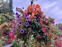 17. Tag: Victoria bis Vancouver – Besuch der Butchart Gardens – Blumenampel &ndash; &copy; Andreas Wolfsteller (Eberhardt TRAVEL)