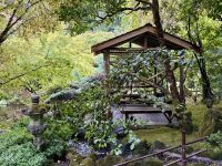 17. Tag: Victoria bis Vancouver – Besuch der Butchart Gardens – Japanischer Garten &ndash; &copy; Andreas Wolfsteller (Eberhardt TRAVEL)