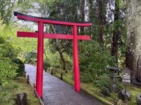 17. Tag: Victoria bis Vancouver – Besuch der Butchart Gardens – Japanischer Garten &ndash; &copy; Andreas Wolfsteller (Eberhardt TRAVEL)