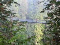 18. Tag: Ausflug in den Norden Vancouvers – Besuch der Capilano Suspension Bridge &ndash; &copy; Andreas Wolfsteller (Eberhardt TRAVEL)