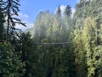 18. Tag: Ausflug in den Norden Vancouvers – Besuch der Capilano Suspension Bridge &ndash; &copy; Andreas Wolfsteller (Eberhardt TRAVEL)