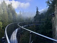 18. Tag: Ausflug in den Norden Vancouvers – Besuch der Capilano Suspension Bridge &ndash; &copy; Andreas Wolfsteller (Eberhardt TRAVEL)