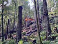 18. Tag: Ausflug in den Norden Vancouvers – Besuch der Capilano Suspension Bridge &ndash; &copy; Andreas Wolfsteller (Eberhardt TRAVEL)