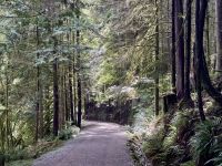 18. Tag: Ausflug in den Norden Vancouvers – Waldspaziergang zur Lachsaufzuchtstation &ndash; &copy; Andreas Wolfsteller (Eberhardt TRAVEL)