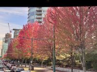 18. Tag: Ausflug in den Norden Vancouvers – Herbstfarben in Vancouver &ndash; &copy; Andreas Wolfsteller (Eberhardt TRAVEL)