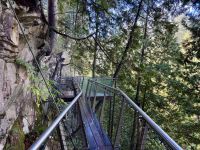 18. Tag: Ausflug in den Norden Vancouvers – Besuch der Capilano Suspension Bridge &ndash; &copy; Andreas Wolfsteller (Eberhardt TRAVEL)