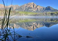 Patricia Lake in der Frueh