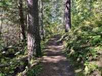 Wanderweg entlang des Robson Flusses