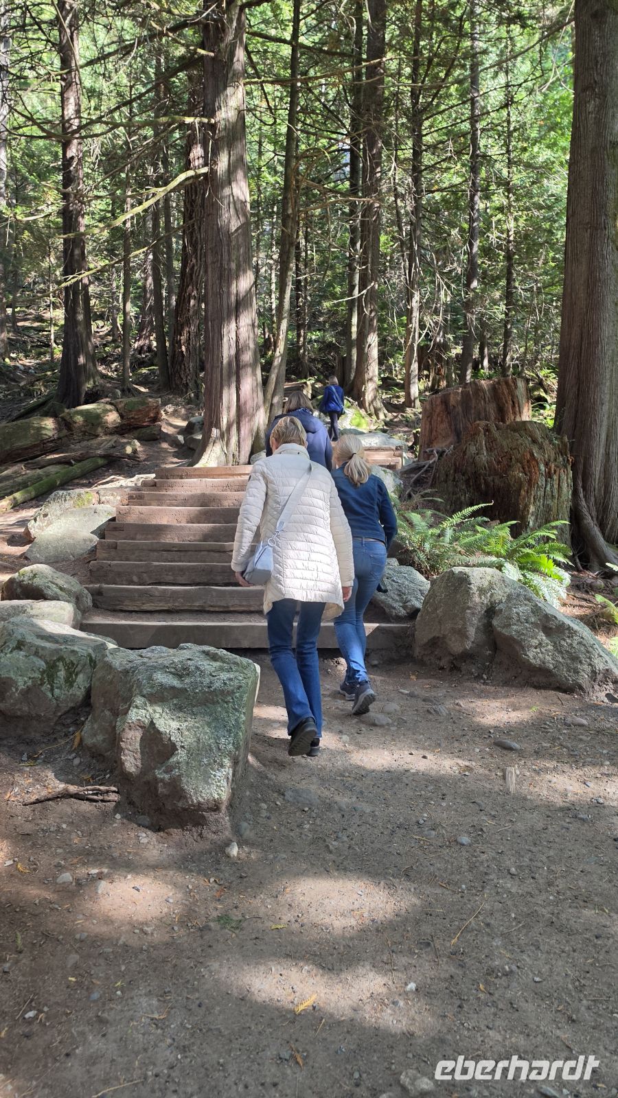 Kurze Wanderung an den Shannon Falls &ndash; &copy; Kristin Weigel (Eberhardt TRAVEL)