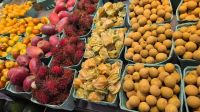 Markthalle auf Granville Island in Vancouver &ndash; &copy; Kristin Weigel (Eberhardt TRAVEL)