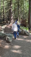 Kurze Wanderung an den Shannon Falls &ndash; &copy; Kristin Weigel (Eberhardt TRAVEL)