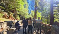 Zweite Aussichtsplattform an den Shannon Falls &ndash; &copy; Kristin Weigel (Eberhardt TRAVEL)